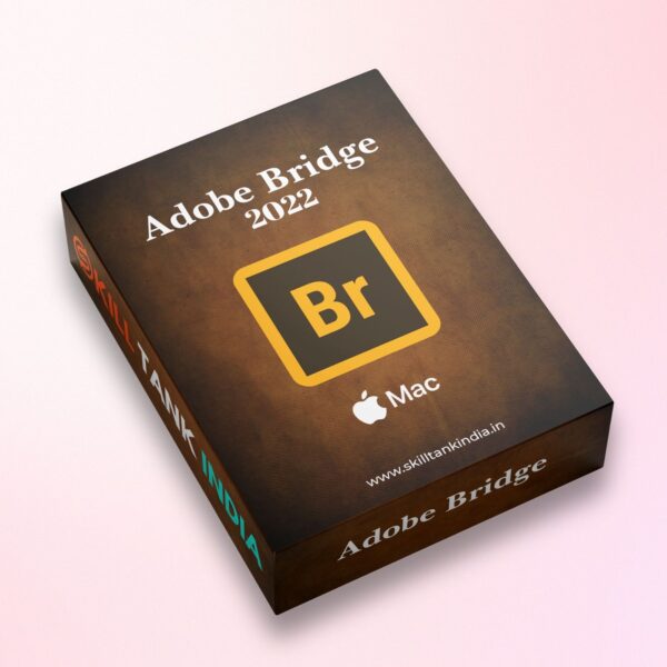 Adobe Bridge 2022